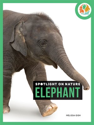 cover image of Elephant